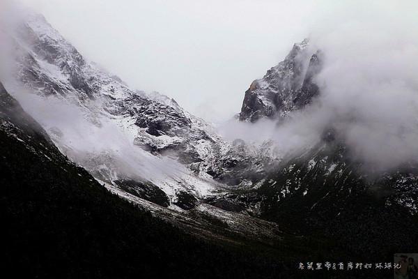 小猫钓鱼游戏龙王版有船