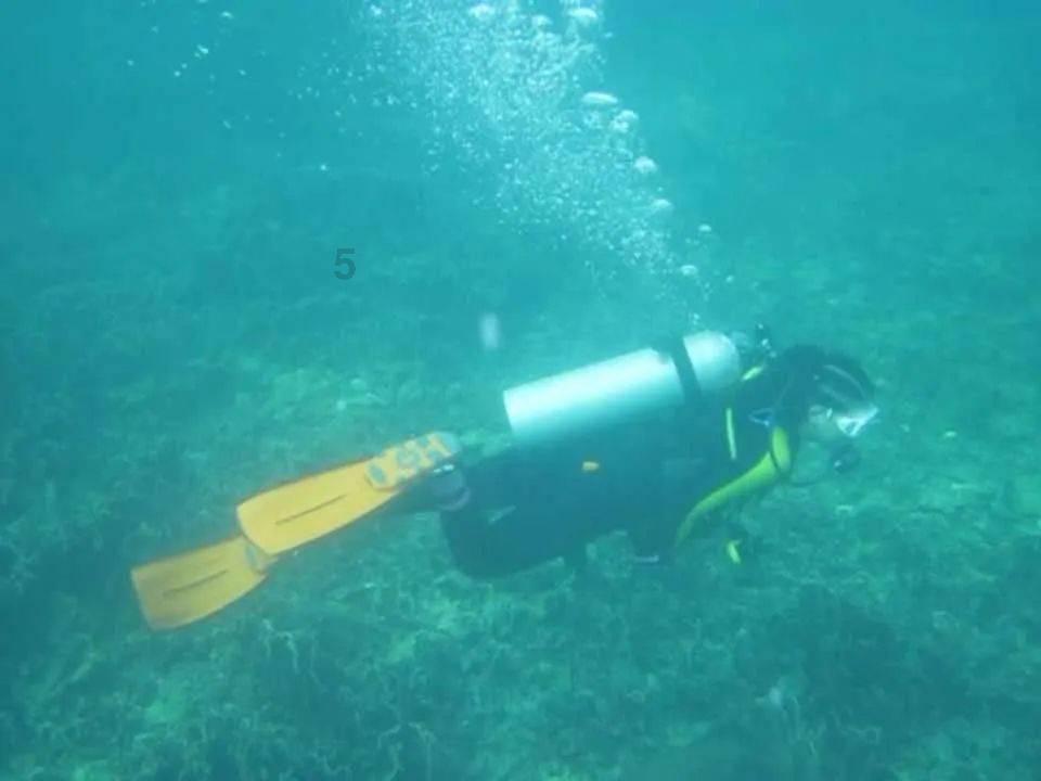 送万福,进万家!春节书法公益活动走进李家下庄安置区建设项目