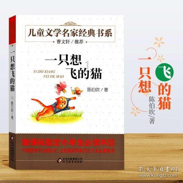 清宫Q传