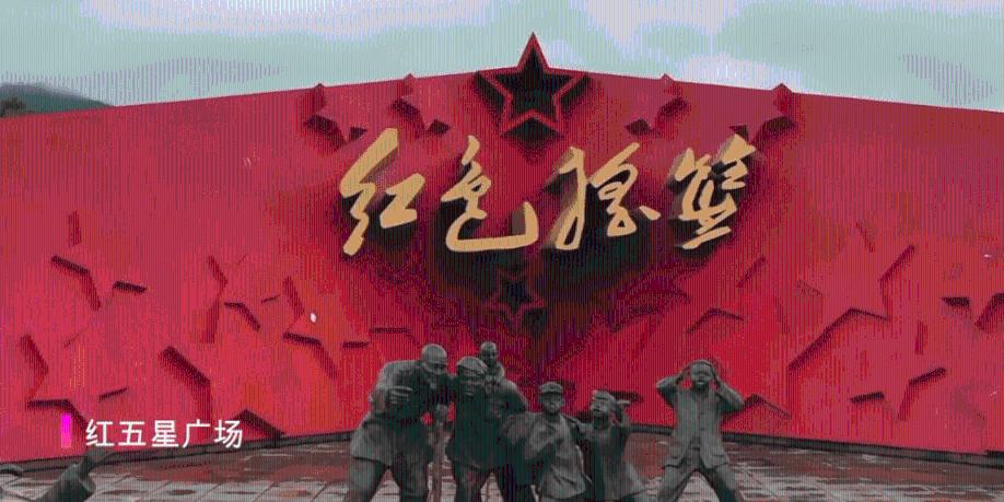 停机了充话费后多久恢复知识星球-专业知识分享与交流平台