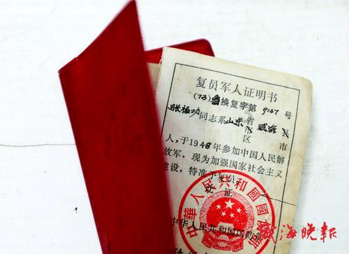 破碎的动物图形2