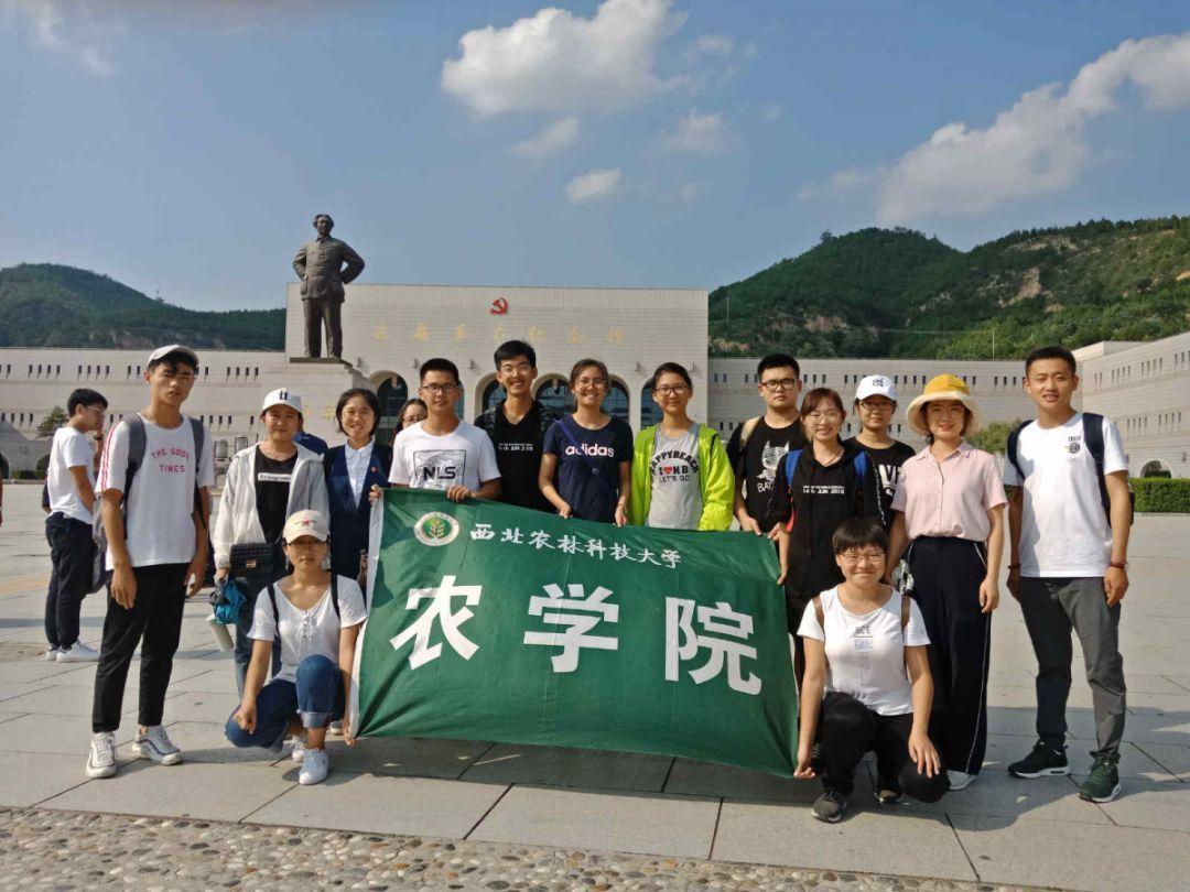 时间教授