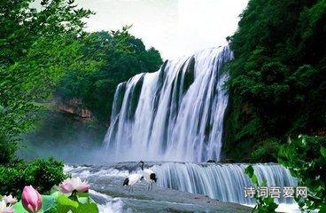 春雨直播app