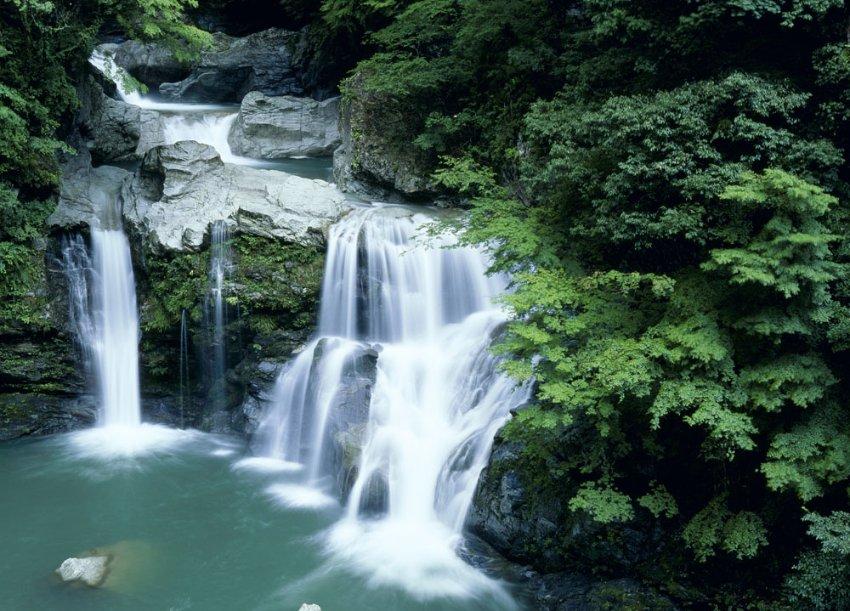 逃离太古森林