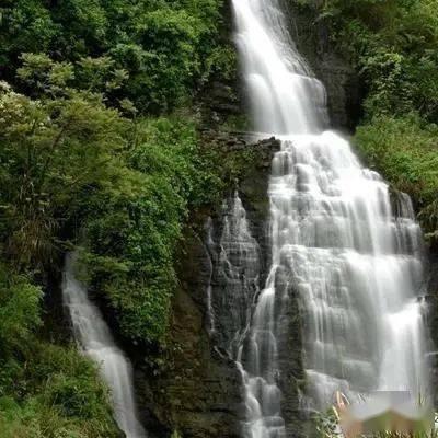 伯斯森林逃生