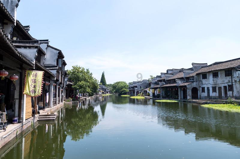 解救金刚鹦鹉