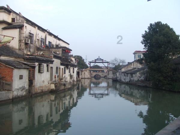 营救小乌龟